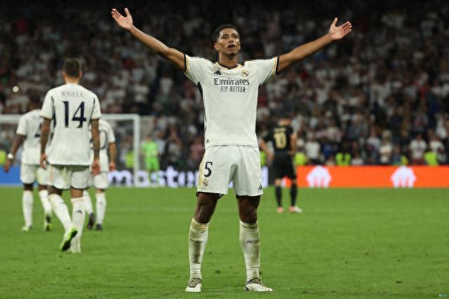 青枫在训练 青枫在训练